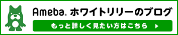 ホワイトリリーのブログ