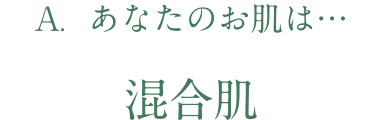 あなたのお肌は混合肌Bタイプ