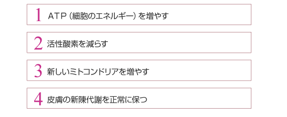 ATP(細胞のエネルギー)を増やす、活性酸素を減らす、新しいミトコンドリアを増やす、皮膚の新陳代謝を正常に保つ